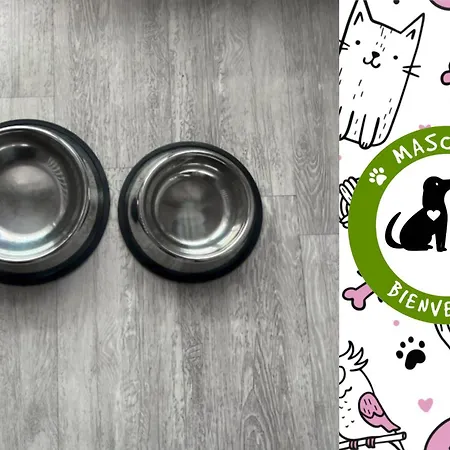 En Capital Centrico Con Garaje Roberto * Palência